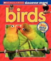 Birds - фото обкладинки книги